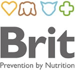 Brit Brit