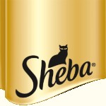 Sheba Sheba