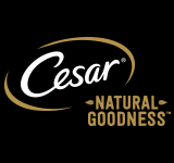 Cesar Cesar