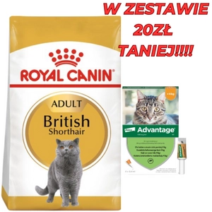 ROYAL CANIN British Shorthair 10kg karma sucha dla kotów dorosłych rasy brytyjski krótkowłosy + Advantage - dla kotów (0,4mlx4) *roztwór* blister